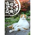 �ǃX�R������L�A�܂�B~�{�V�Ўi�搶�ƔL�̉c�ƕ��� [DVD]