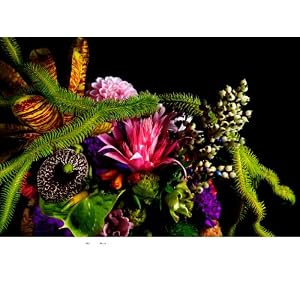 Encyclopedia of Flowers―植物図鑑