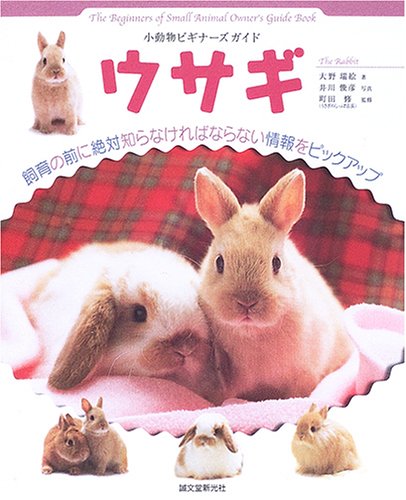 ウサギ (小動物ビギナーズガイド)