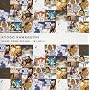 STARS FROM DECADE~�P���鐯����~