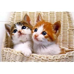 【クリックで詳細表示】300ピース フレンズ RS-32-37