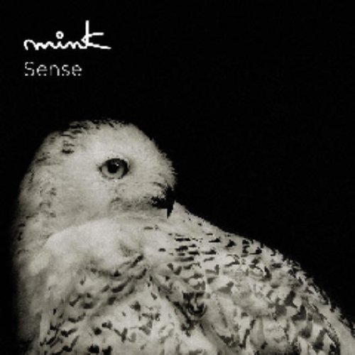  Sense(初回限定オータムプライス盤)
