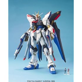 MG 1/100 ZGMF-X20A �X�g���C�N�t���[�_���K���_�� (�@����m�K���_��SEED DESTINY)