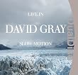 Life in Slow Motion