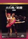 �p�����C�����E�o���G�c�u�΂̒�/�����v [DVD]