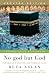 No god but God (Updated Edition): The Origins, Evolution, and Future of Islam