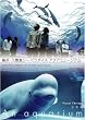 NHKDVD ������~An Aquarium~ ���l�E���i���V�[�p���_�C�X �A�N�A�~���[�W�A��