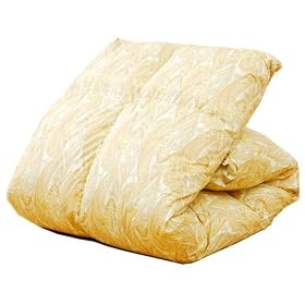 �A�C�� �������H�ъ|���z�c(�_�u��) 0507221WD86�x�[�W�� �y�C�Y���[�x�[�W��