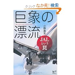 ���ۂ̕Y���@JAL�Ƃ���� (�u�k��BIZ)