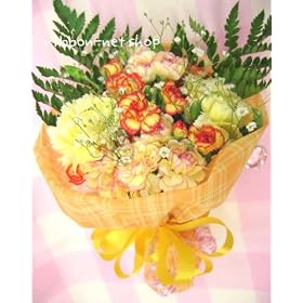 �y���������z�`�F�b�N�̃��b�s���O �J�[�l�[�V�����ƋG�߂̂��Ԃ̃u�[�P�E�ԑ��i���ԁj�i���F�n�j FL-MD-808