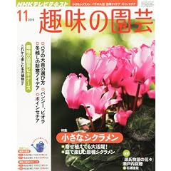 NHK ��̉��| 2010�N 11���� [�G��]
