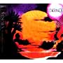 Endless Summer Record