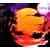 Endless Summer Record