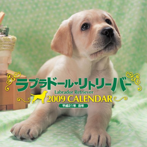  ラブラドール・リトリーバーカレンダー 2009 (2009)