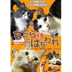 ����Ƃ�Ƃ͂���� [DVD]