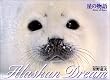 ���̕���@Alaskan Dream 1