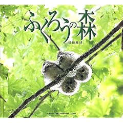 【クリックでお店のこの商品のページへ】ふくろうの森 (Seiseisha photographic series) ｜ 横田 雅博 ｜ 本 ｜ Amazon.co.jp