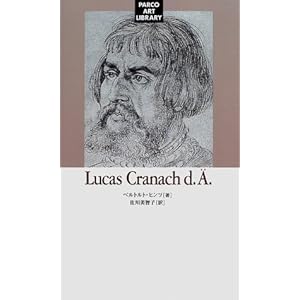 ���[�J�X�E�N���[�i�n (�p���R���p�V��)