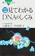 DVD���}���@���Ă킩��DNA�̂����� (�u���[�o�b�N�X)