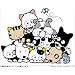 ��F�X