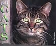 Just Cats 2004 Calendar