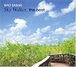 Sky Walker The Best [Import from Korea]