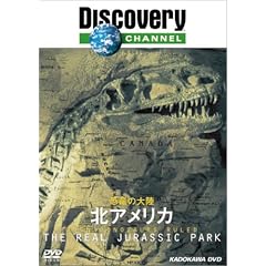 �f�B�X�J�o���[�`�����l�� �����̑嗤 �k�A�����J [DVD]