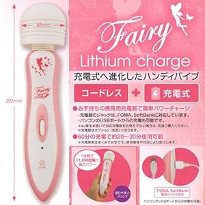 フェアリー リチウムチャージ（ポーチ付）　　USBコード+ACアダプターセット