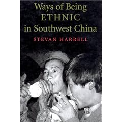 Ways of Being Ethnic in Southwest China (Studies on Ethnic Groups in China)