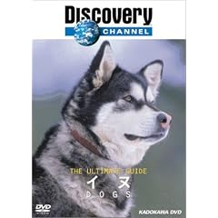 �f�B�X�J�o���[�`�����l�� The Ultimate Guide �C�k [DVD]