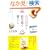 �g��[��̊G��`����炵�\�C���X�g���[�^�[�������鐅�ʉ惌�b�X�� (�u�k�Ђ̎��pBOOK)