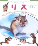 [Book]井川 俊彦 リス (小動物ビギナーズガイド)