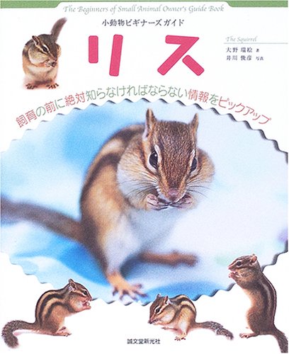  リス (小動物ビギナーズガイド)