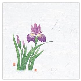 �_���a��PP�\���� 4��OP���Ε~�� �Ҋ�(4��~5��) 100�� ��12x12cm W65112