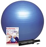HATAS(�n�^�X) �o�����X�{�[�� �Z�[�t�e�B 55cm �|���v�t + DVD�Z�b�g DBP55PD