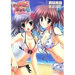 �����ːF�ɐ��܂�� �Ћ˗D�P�̗��F [�񎟌��Q�[������2]