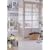 �g�����f����̏����Ȏ���ƃi�`�������C���e���A (�ʍ�PLUS1 LIVING)
