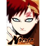 NARUTO-�i���g- 5th STAGE 2007 ���m�� [DVD]�|�����q�ɂ��