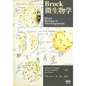 【クリックで詳細表示】Brock微生物学： Michael T. Madigan， Jack Parker， John M. Martinko， 室伏 きみ子， 関 啓子： 本