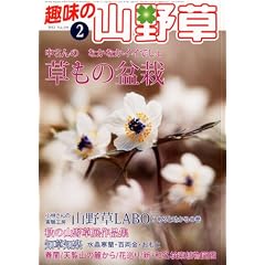 ��̎R�쑐 2012�N 02���� [�G��]