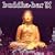 Buddha-Bar, Vol. 9