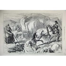 1880 �ɃA�C�������h�R�̔_��S���[���[�̔n�̐S��������������