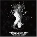 ALSATIA/CAUSE DISARRAY