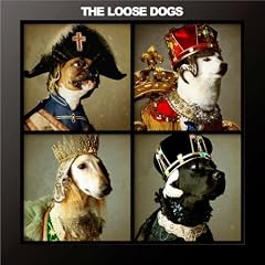 THE LOOSE DOGS STORY~BEST~(DVD�t)