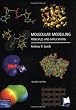 Molecular Modelling: Principles and Applications