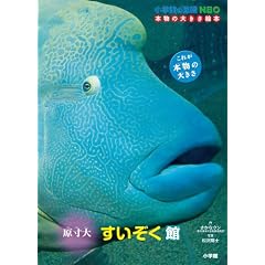 ���w�ق̐}��NEO �{���̑傫���G�{ ������ ����������