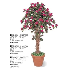GD-46L ���A�i �u�[�Q���r���A 2.1m 21437200 �^�J�V���[ TAKASHO
