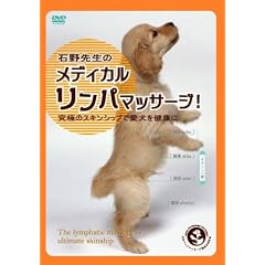 �Ζ�搶�̃��f�B�J���E�����p�}�b�T�[�W ���ɂ̃X�L���V�b�v�ň��������N��! [DVD]