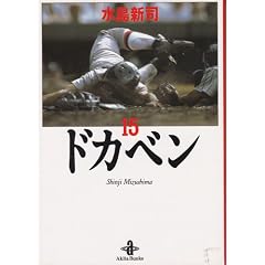 �h�J�x�� (15) (�H�c����)