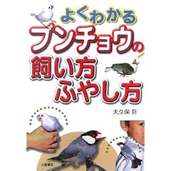 �悭�킩��u���`���E�̎������ӂ₵��